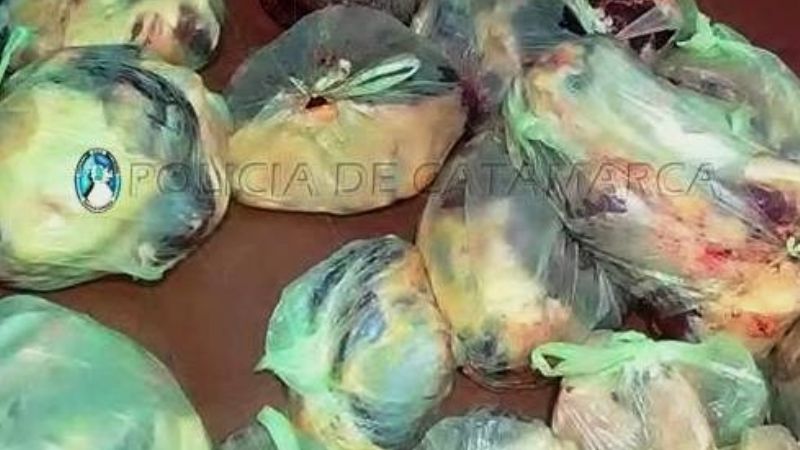 Secuestran 100 kilos de carne que eran trasladados en un auto