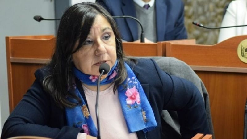 Contrapuntos en Diputados, por homenaje a De la Rúa