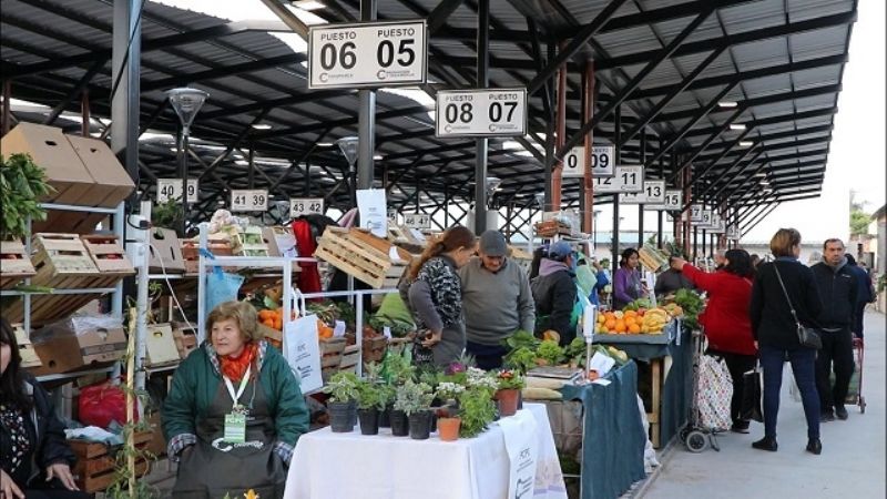 El nuevo PCPC abrió sus puertas a productores y feriantes