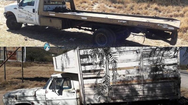 Secuestran 189 vehículos en los puestos camineros