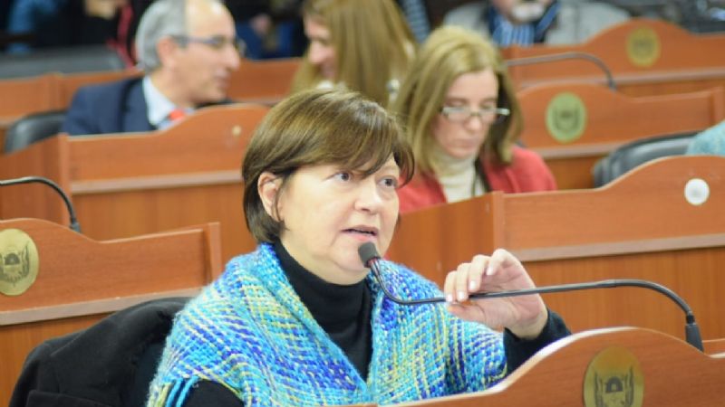 “La Ley 26618 colocó al colectivo de la diversidad como actor político”