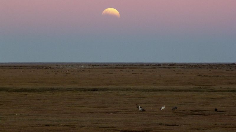 El segundo eclipse parcial de luna del año se pudo apreciar desde Argentina