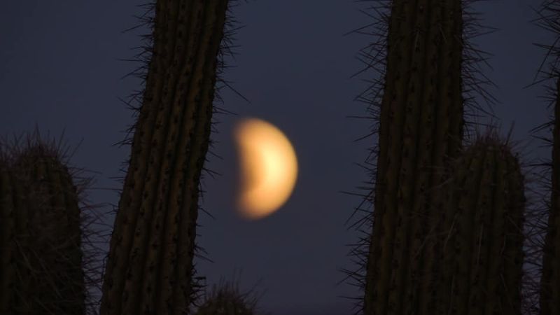 Así se vio el eclipse de luna desde El Jumeal