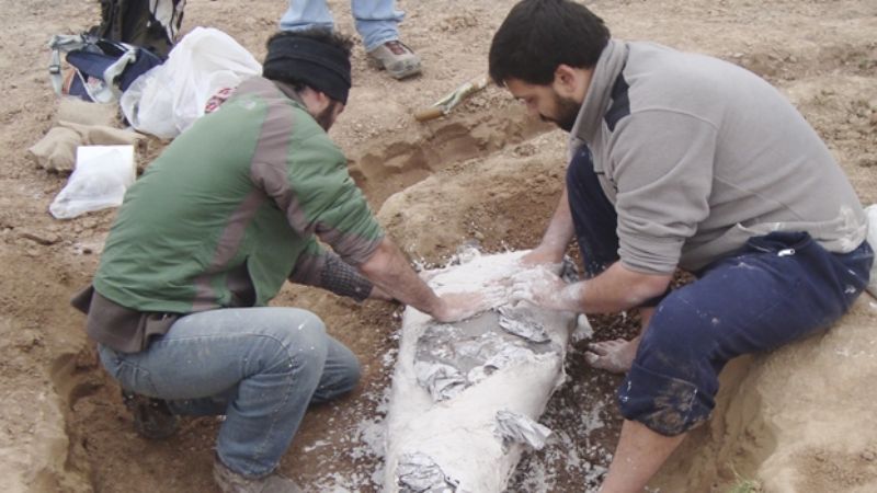 Reconstruyen un mar prehistórico