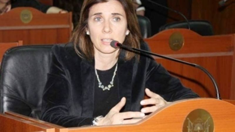 Diputados opositores amenazan con ir a la Justicia