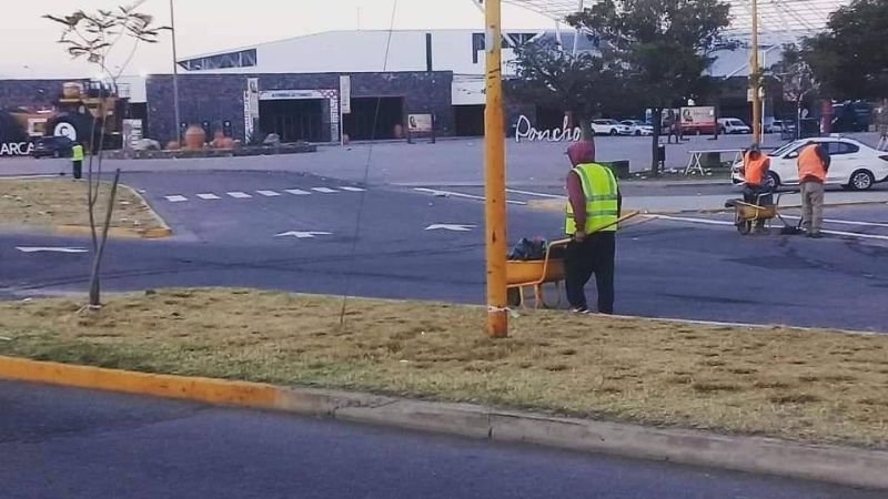 Trabajo destacado de municipales