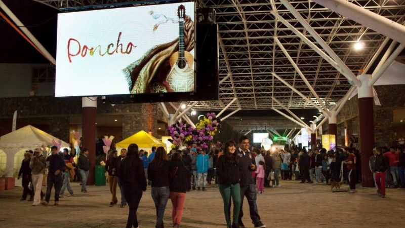 Mujer aprehendida en el Predio Ferial por el robo de un celular