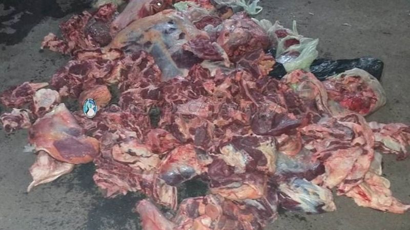 Secuestran 150 kilos de carne faenada