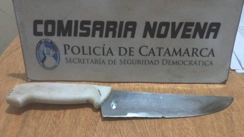 Amenazó con una cuchilla a una familia e intentó apuñalar a un policía