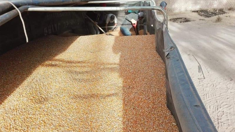 Gómez sigue colaborando con los productores