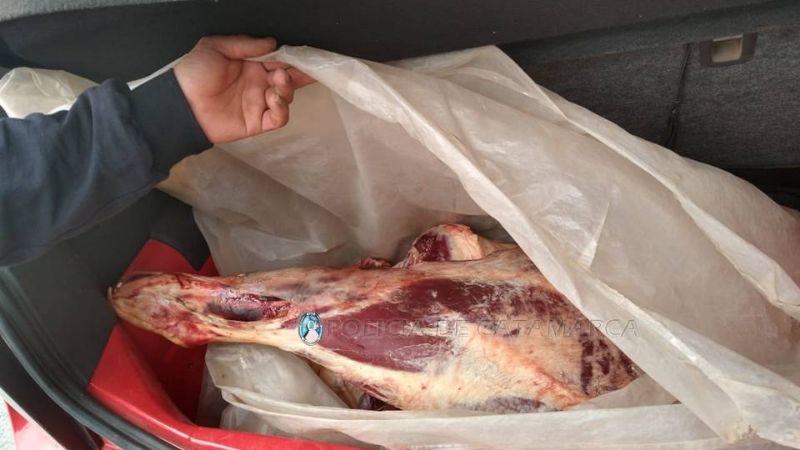 Joven llevaba 120 kilos de carne en el baúl del auto