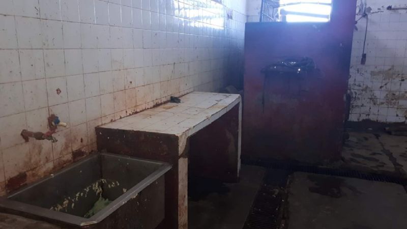 Preocupante realidad sobre higiene y seguridad en el Matadero
