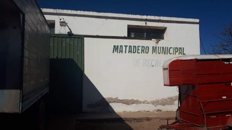 Preocupante realidad sobre higiene y seguridad en el Matadero