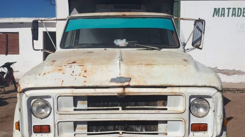 Preocupante realidad sobre higiene y seguridad en el Matadero