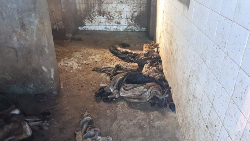 Preocupante realidad sobre higiene y seguridad en el Matadero