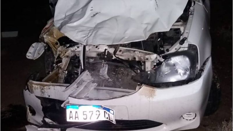 Vehículo empresarial impactó contra un animal en la ruta 157