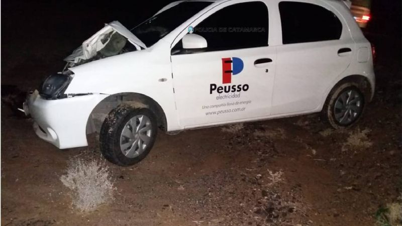 Vehículo empresarial impactó contra un animal en la ruta 157