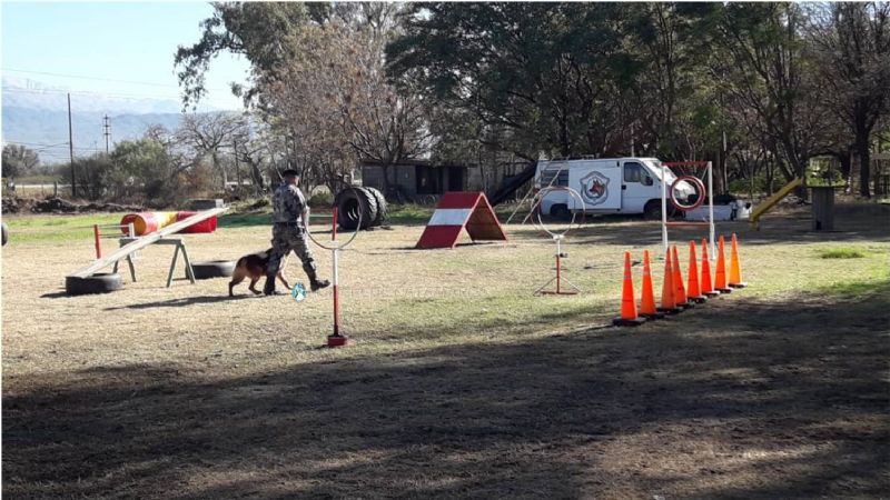Acto por el XVII aniversario de la creación de la División Canes de la Policía
