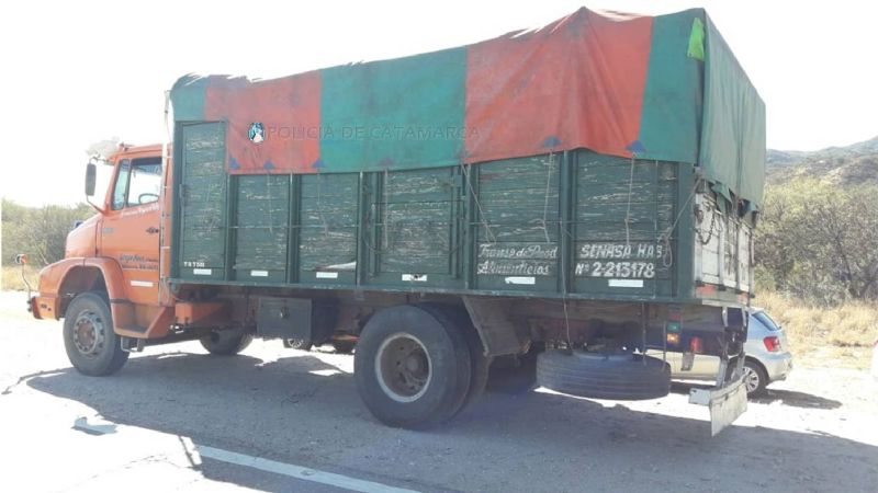 Retienen 5 toneladas de zapallos durante un operativo de control vehicular