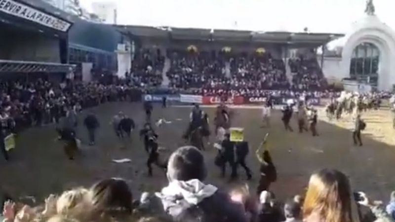 Un grupo de veganos se metió en la pista de la Exposición Rural