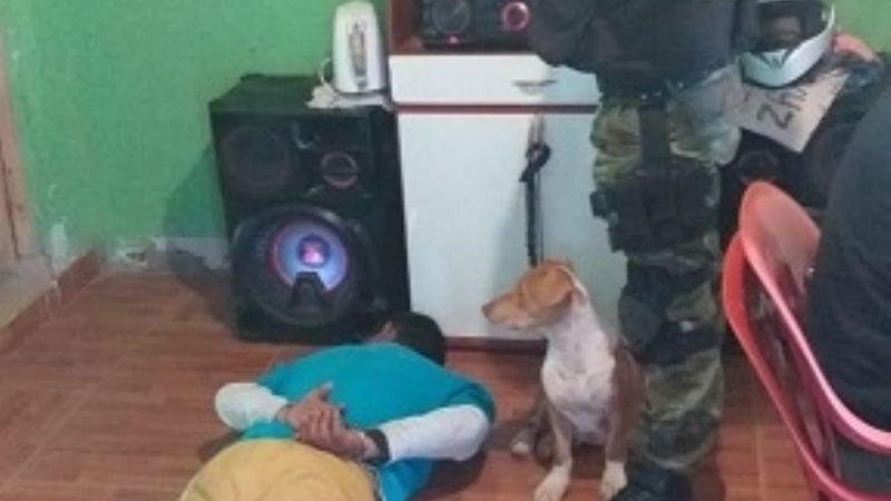 Secuestran importante cantidad de marihuana en el Norte de la Capital