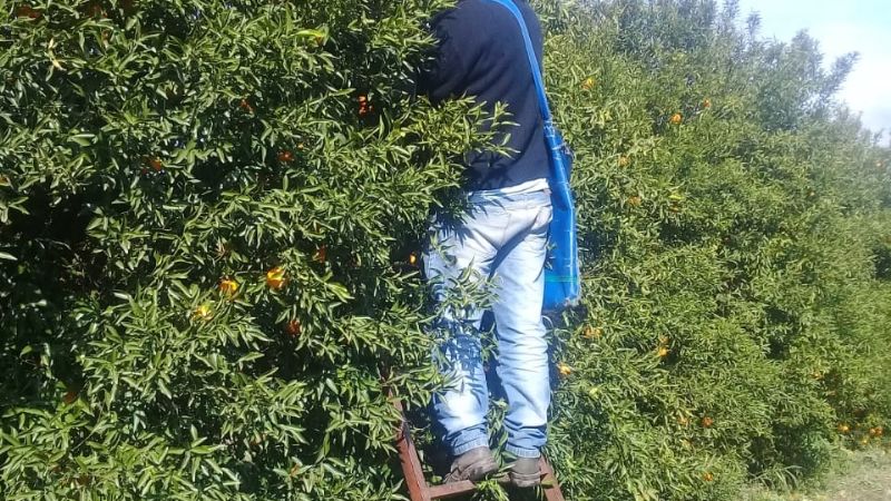 Renatre continúa con los operativos inspectivos y de fiscalización en el interior