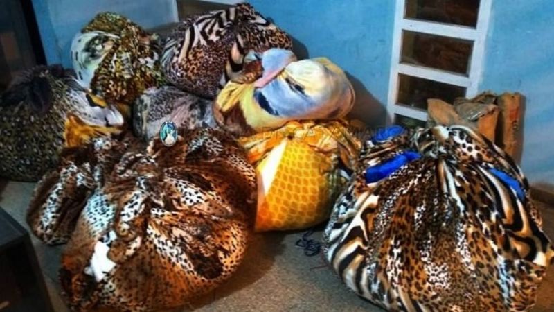 Secuestran mercadería ilegal valuada en $200.000