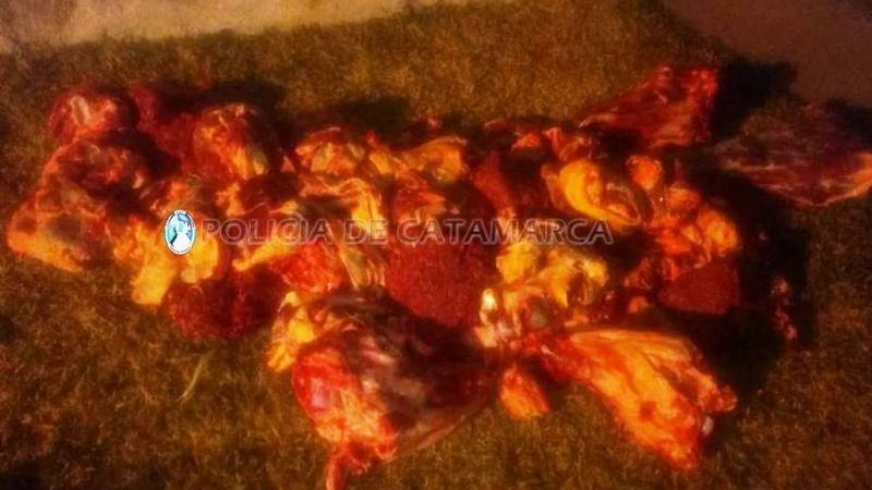 Trasladaban 120 kilos de carne en una camioneta