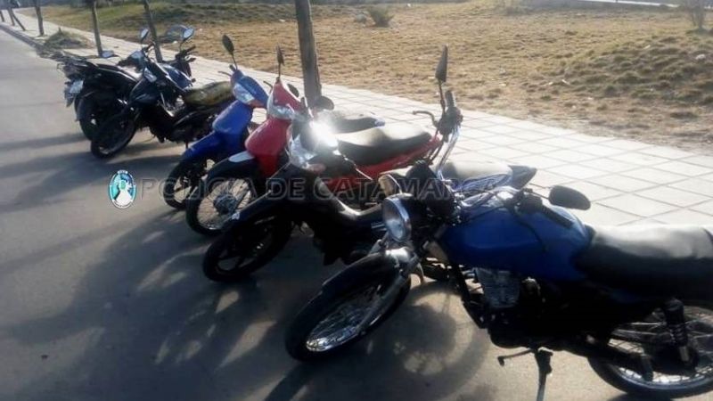 Secuestran casi medio centenar de vehículos en operativos