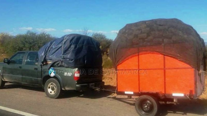 Secuestran una tonelada de carbón en un puesto caminero de Capayán