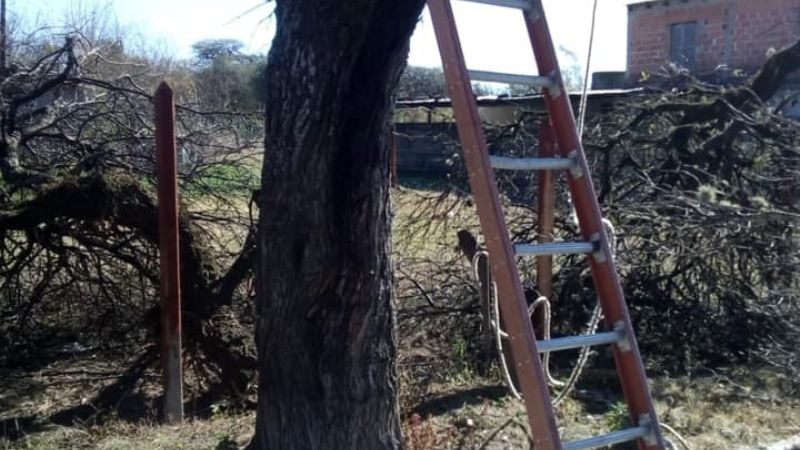 Trabajan para mejorar el servicio eléctrico en Lavalle y Saujil