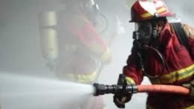 Se prendió fuego un árbol en el patio de su casa