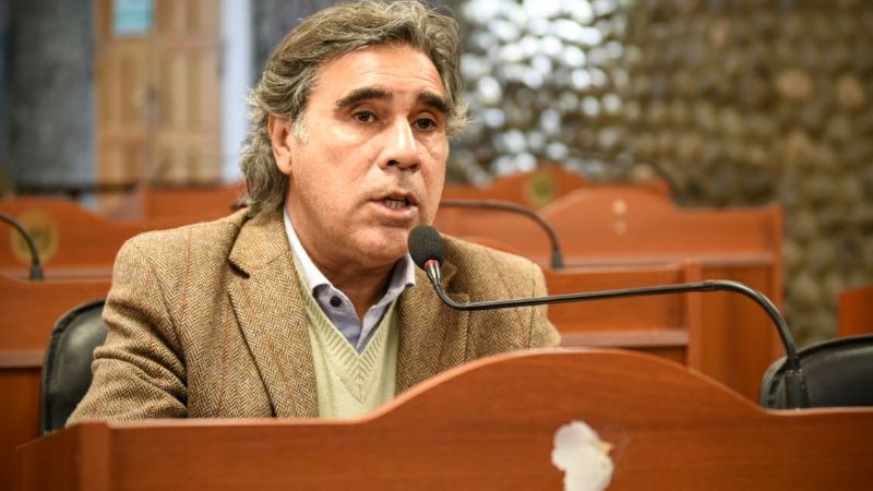Declaraciones de interés en Senadores