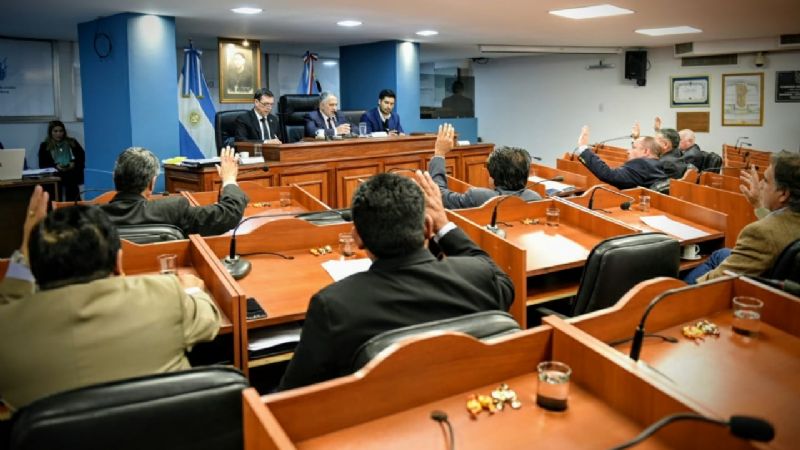 Declaraciones de interés en Senadores