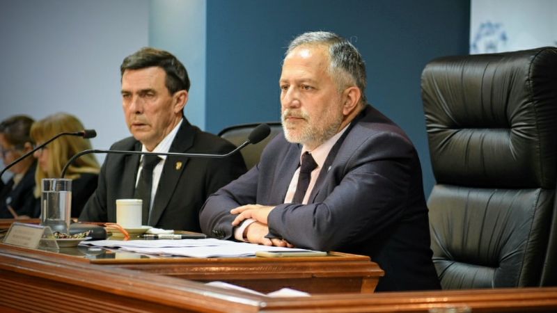 Declaraciones de interés en Senadores