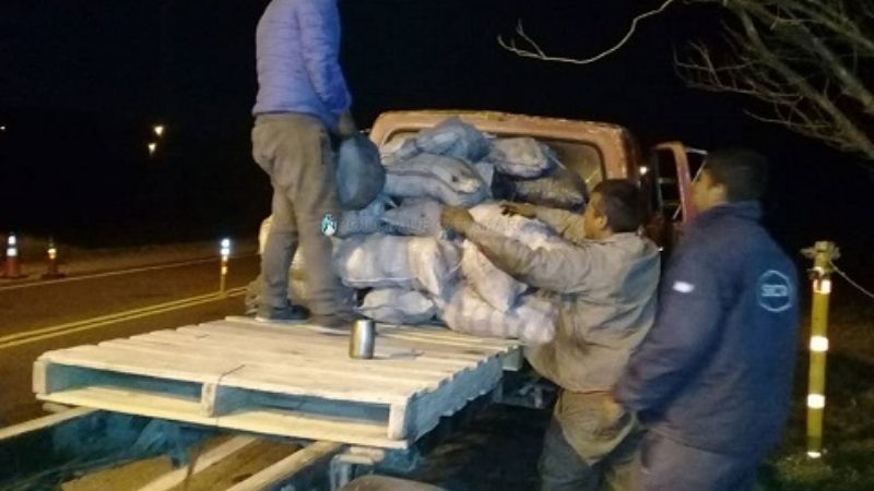 Secuestran 40 bolsas de carbón