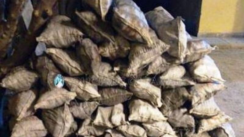 Secuestran 40 bolsas de carbón