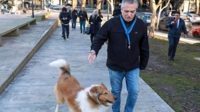 Alberto Fernández: "Marcos Peña habla porque está nervioso, yo estoy en veda"