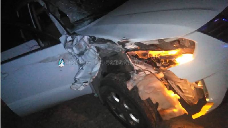 Fuerte choque contra un animal en la ruta 1