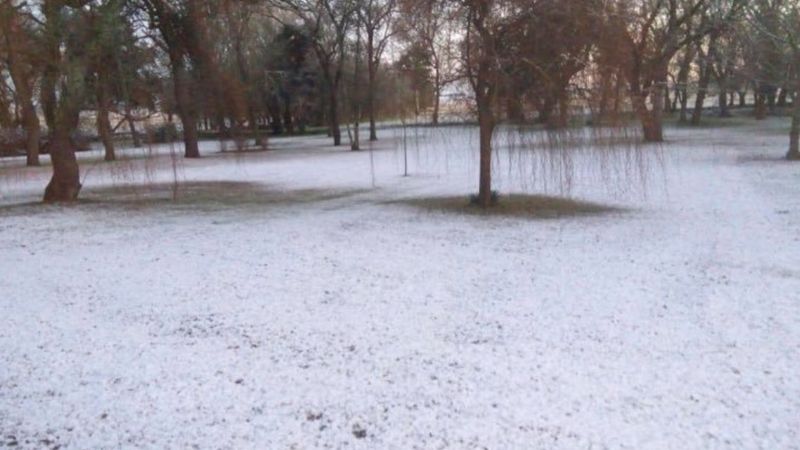 Cayó nieve en Mar del Plata, Balcarce y Necochea