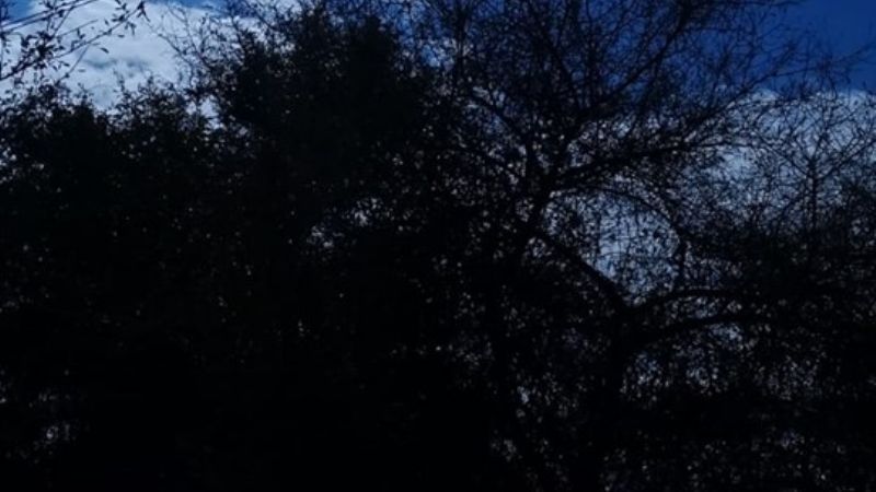 El fuerte viento afectó el servicio de energía