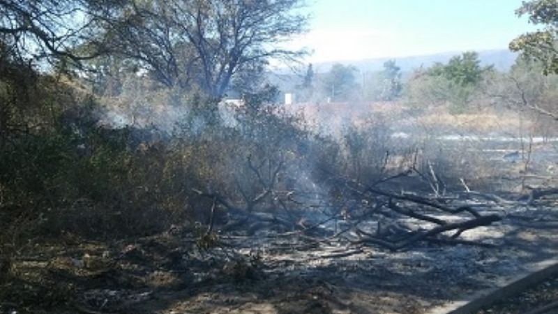 Sofocaron un incendio de pastizales en Valle Viejo
