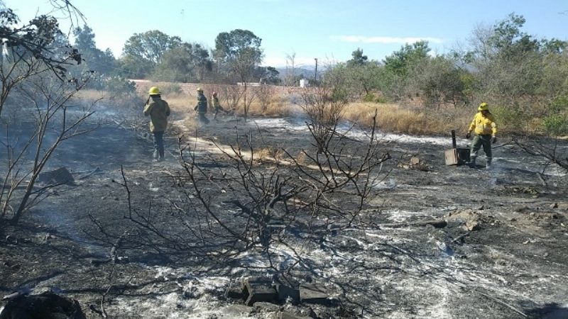 Sofocaron un incendio de pastizales en Valle Viejo