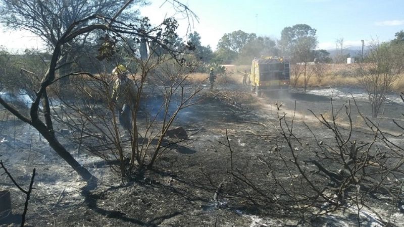 Sofocaron un incendio de pastizales en Valle Viejo