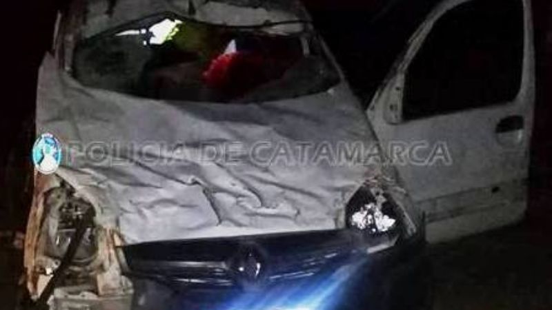 Un bebé murió tras un fuerte choque con un animal en la ruta 157