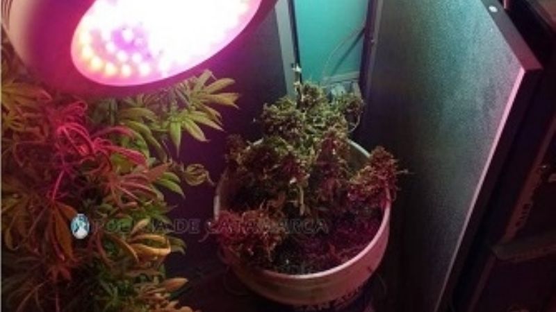 Secuestran más droga en Tinogasta