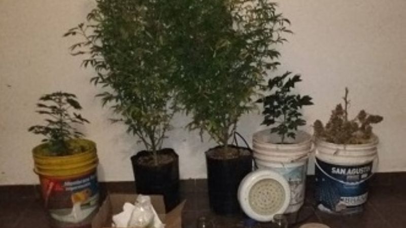 Secuestran más droga en Tinogasta