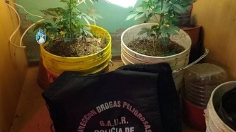 Secuestran más droga en Tinogasta