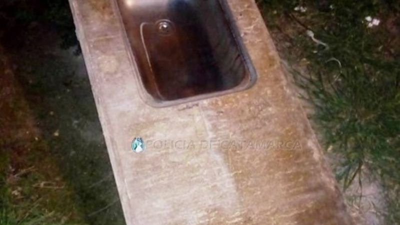 Secuestran una bacha de cocina