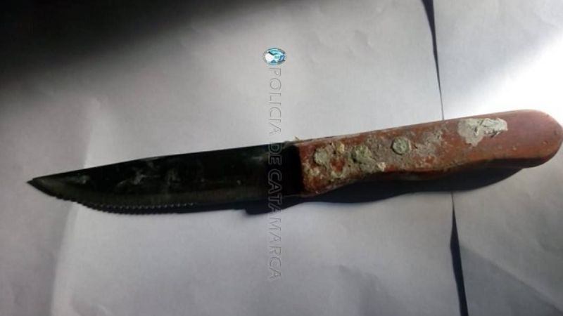 Intentó apuñalar a su madre